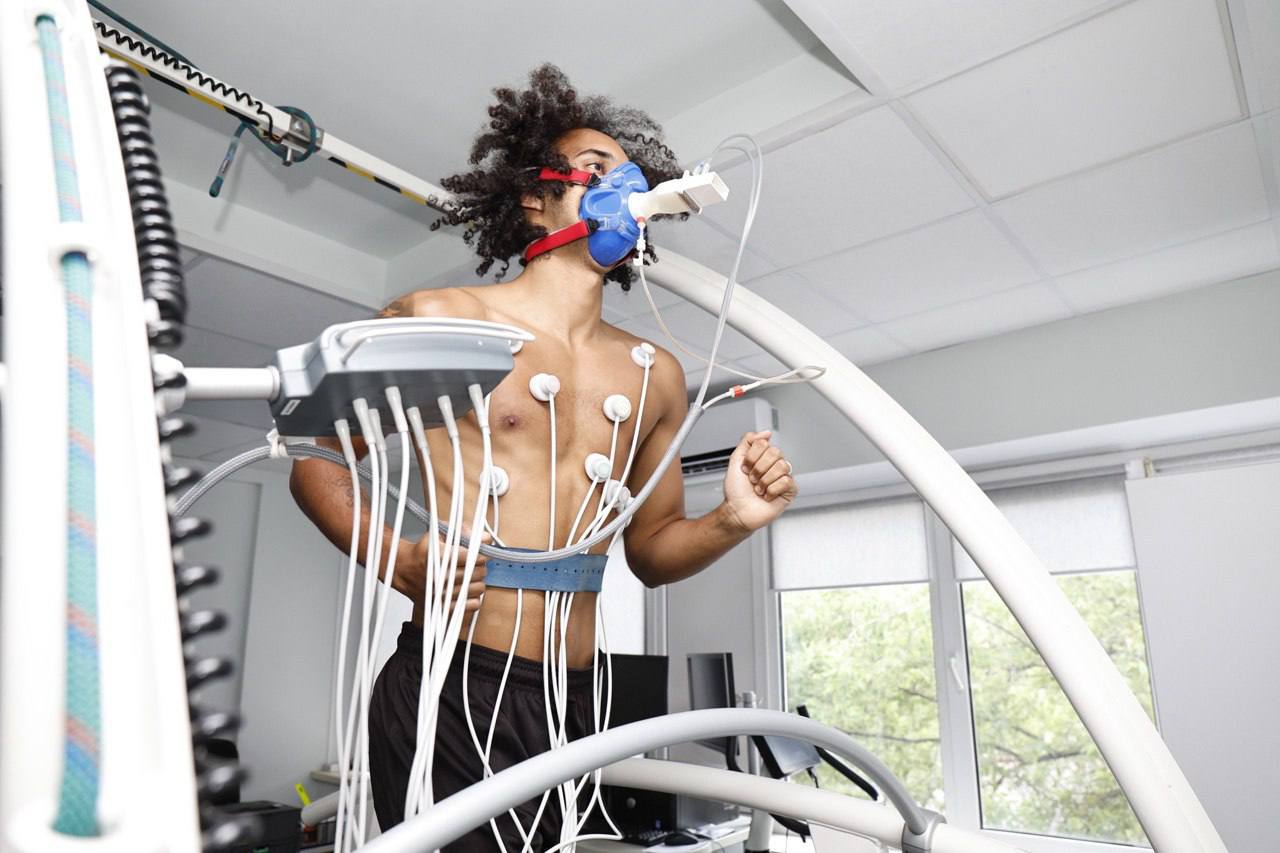 Цифровизация спорта высших достижений – залог будущих спортивных побед России